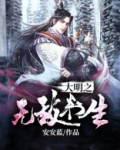 大明之无敌书生