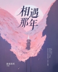 相遇那年