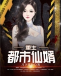 重生都市仙婿