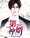 第一神婿