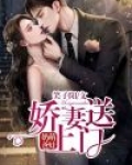 萌娃奶爸,娇妻送上门