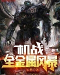 机战：全金属风暴