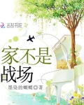 家不是战场