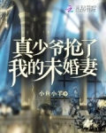 真少爷抢了我的未婚妻