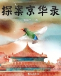 探案京华录