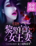 致命诱惑:黎警官的女王妻