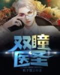 双瞳医圣