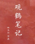 观鹤笔记
