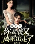 顾先生,你老婆又离家出走了
