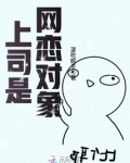 上司是网恋对象