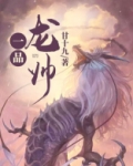 一品龙帅