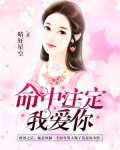 命中注定我爱你
