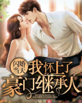 闪婚当天,我怀上了豪门继承人