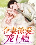 夺妻掠爱宠上瘾