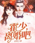 隐婚蜜爱：霍少，离婚吧