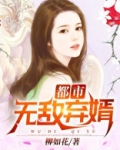 都市无敌弃婿