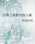 红楼之谁敢动我儿砸