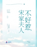 宋家夫人不好惹
