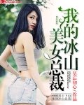 我的冰山美女总裁