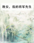 晚安,我的将军先生