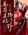 魔尊王妃路子野