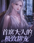 首席大人的极致甜宠