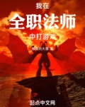 我在全职法师中打游戏
