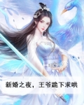 新婚之夜,王爷跪下求哄