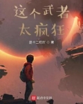 这个武者太疯狂