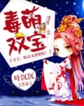 毒萌双宝:父王,娘亲又改嫁啦!