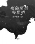 夜的星星等黎明