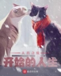 从四合院开始的人生