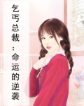 乞丐总裁:命运的逆袭
