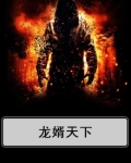 龙婿天下