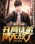 高手下山:开局徒弟你无敌了