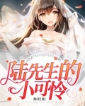 陆先生的小可怜