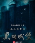 小小领主的黑暗城堡