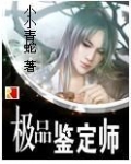 极品鉴定师