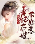 权宠天下:毒妃带娃不好惹