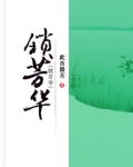 锁芳华