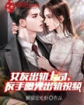 女友出轨上司,反手曝光出轨视频